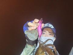 무늬 야간팁런 씨알 마리수 쵝오입니다!!! 일욜 이벤트 예약가능!! 사진