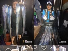 ((**여수포르투나**))  주말,,갈치조황.. 사진