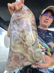 삼천포. 똘이장군//똘이호 돌문어 얼쑤 사진