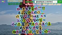 8월23일 홍원항힐링호 찌릿찌릿 백조기 수조기 조황~!오늘도 여지없네요^^사이즈좋은 애들로 팔아프게 올리셨습니다 ㅎㅎ#백조기 #홍원항힐링호 #유튜브힐링호TV #백조기낚시 #홍원항 사진