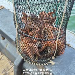[진해] 속천 뉴아라호 돌문어 트리플 연타등등 (이벤트)