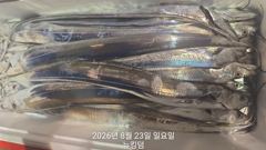 [여수뉴킹덤] 8월23일 입항  조황!!! 다음주 금요일 자리있습니다!! 믿고오세요 01023004931 사진