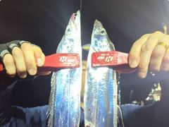 준내만갈치~3지4지갈치!묵찍묵찍(월요일예약가능) 사진