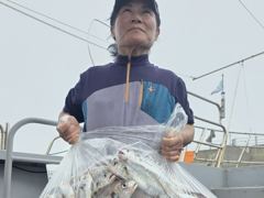 오늘의조황 - 8월22일 전원 만쿨 초대박 조황 - 홍원 에이스낚시 사진