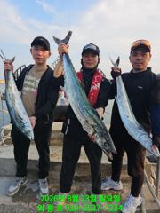 대삼치 대폭발 초대박 조황입니다 ^^(월,화,수 급모집) 사진