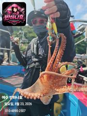 [여수반하나호]23일문어조황*문어는9월부터/27일 야간 내만갈치(선비전화문의)파격적!