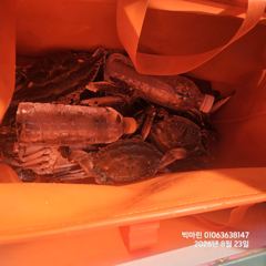 꽃게낚시~♪ 8 . 23( 일요일 ) [[[ 무창포프로낚시 ]]] <<<<<< 빅 마 린 >>>>> 꽃 게 조황보고.... 사진