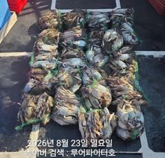 오늘의조황 - 8/23 일 [2물] 꽃게낚시 15명 조항 입니다. - 루어파이터호 사진