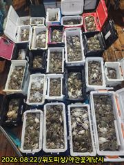 22일 위도피싱 야간꽃게낚시 굿 대박입니다.  사진