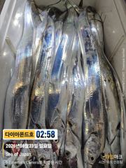 월요일부터 쭉예약가능! 연일대박조황터집니다! 기회놓치지마세요~ 사진