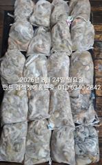 24일 홈런호 야간문어 전체 대박조황 장원31수 언제나 굿조황으로 마무리 합니다 사진