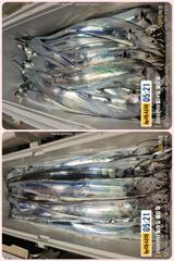 [통영] 통영 뉴 아시아호>>  땀 흘려가면서 열낚 하신 조사님들 쿨러 … 사진