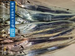 ＜＜통영 뉴명륜호 14인승＞＞ 씨알급 갈치부터~ 大갈치 쿨러조황^^ (예약 010-7100-1685) 사진