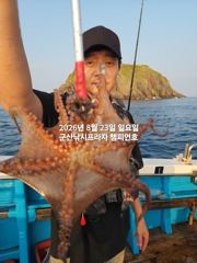 8/23일, 야간문어가 싸이즈 좋아요~부쩍커진 문어들-좋아요~오늘도 야간문어갑니다~"생미끼, 민어,농어,광어 8월 평일~선비 빅이벤트(선비8만)"~~군산 챔피언호