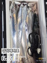 [텐빈]씨알은,"굿" 마리수는 아쉬운,조황(화요일출항) 사진