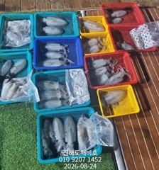 팁런무늬오징어 오늘출조확정 예약가능합니다 사진