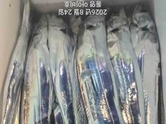 [통영] 아이비호/오늘 자리텅텅!!대갈치 공략!!먼바다나들이~쿨러가득채우… 사진
