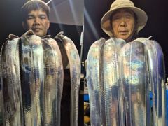 [제주은갈치호]8월23일 제주앞바다 왕갈치조황입니다! 사진