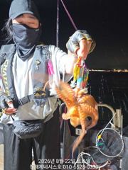 [진해] 문어] 오늘 야간예약가능~자리여유 연락주세요~ 사진