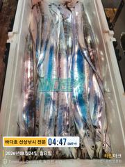[[대림낚시바다호 ]]  왕갈치  조황    좋아요~~내일  예약가능 사진