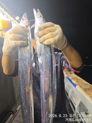 뉴새바다호 14석 갈치 3지 4지  오늘 예약됩니다 사진