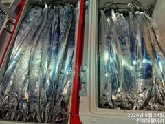 우와~24일새벽,내만칼치3지급까지 어마어마 쿨러넘쳐넘쳐 대박,예약가능 사진