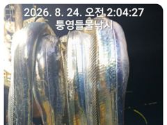 [통영] 14석 보성3호 오늘은 대치들러 3~4지들 쿨러 가득했습니다~~… 사진