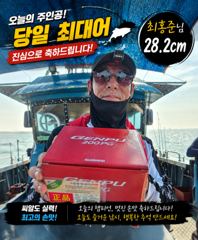 조황정보 - 8월 23일 홍원항 뉴아일랜드호 백조기 [이벤트] 백조기 잡고 상품 받고! 기분 좋은 조황 - 홍원항 뉴아일랜드호 선상낚시 ,생활낚시 , 바다낚시 , 전문출조 사진