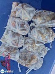 [진해] 23일(야간문어) 마릿수펙퍽 싸이즈 점점 좋아지는듯 사진