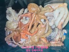 [완도킹메이커호] 8월 24일 문어 대박 조황 사진