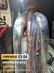 [진해] [갈치/텐빈/텐야]24일입항 오늘요만큼[화.수.목.금]예약가능 사진