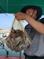 [사천] 삼천포 물새호 사진