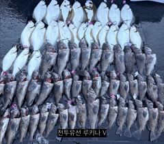 << 팀 인천 루키나 >> 08. 24. 3물 << 루키나 V 생새우 외수질 다잡아 이벤트 >> 사진