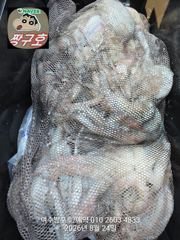 여수 짱구호 8월24일(월)  문어(총167수)조황 및 출조모집 사진