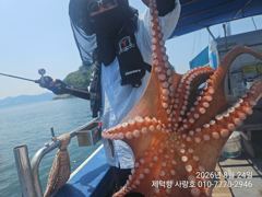 "돌문어" 1000g외 덩치들 133수이상 17수15수14수13수13수등 쭉~전원손맛 (예약가능) 사진
