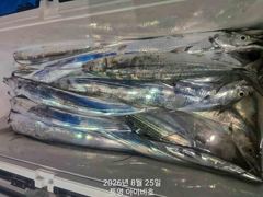 아이비호/내일 수 자리텅텅!!4지빵빵 대갈치들!!멋진손맛!!수목금토일 쭉 예약가능 긴급출동하세요~ 사진