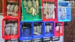 24.간절곶피싱 무늬~~ 힛또힛또