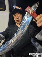 [진해] 와~25일새벽,내만칼치 3지까지 엄청나 루어에 퍼담고 오늘예약가… 사진