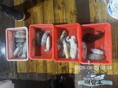[거제] 거제 지세포항 무늬오징어 팁런 조과입니다.