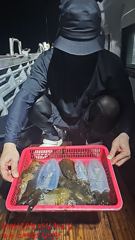 스페셜드림선단 8월25일 입항 무늬팁런 조황입니다  사진