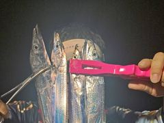 [진해] 내만갈치  버글 버글~~~~예약가능