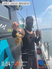 뉴아재피싱 8/25 갑오징어 탐사 조황입니다!내일도 출항확정!!