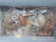 "돌문어"1000g키로외 덩치들 133수이상 17수15수14수13수13수등 전원 마릿수 조황(내일예약가능)