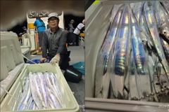 목감낚시 23일철수 갈치 조황입니다!