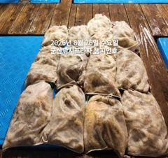 [군산] 8/25일, 야간문어가 싸이즈 좋아요~부쩍커진 문어들-굿굿~오늘… 사진