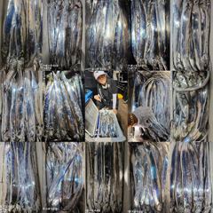 갈치! 텐빈 텐야 메탈~때려박는곳으로~! 사진