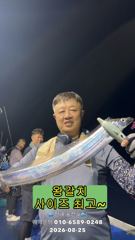 [진해] "준내만 갈치" 싸이즈 미쳤고~ 마릿수 최고~!(예약가능합니다) 사진
