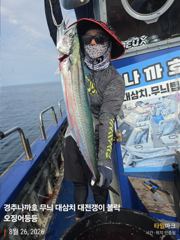 오후 대삼치 실시간 조황 사진