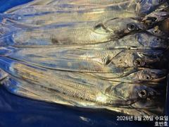 [통영] {통영호반호} 26일 철수조황임니다 ~금욜부터 여유~ 사진