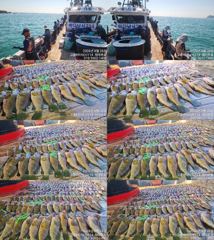♥붉바리들..이정도는 잡아봐야지요 대박 붉바리조황입니다[2026년08월26일] ◎ 해마루호가 뜨는이유? 조황때문이죠 ◎ 핵심포인트: 바로진입.. 바로히트.. ▣ 차원이 다른 조황... 사진
